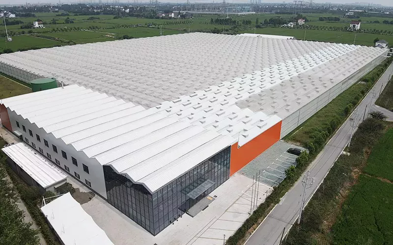 Melyek a Glass Greenhouse tulajdonságai és felhasználásai?